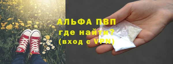 экстази Арсеньев