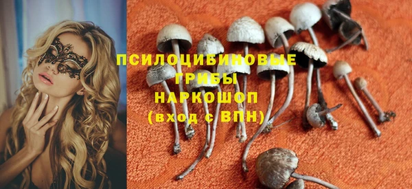 экстази Арсеньев
