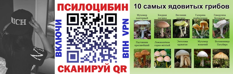 Псилоцибиновые грибы MAGIC MUSHROOMS  ссылка на мегу маркетплейс  Иннополис 